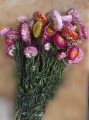 IMG_20250625_165304.jpg
